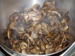 The Cooked Mushrooms
